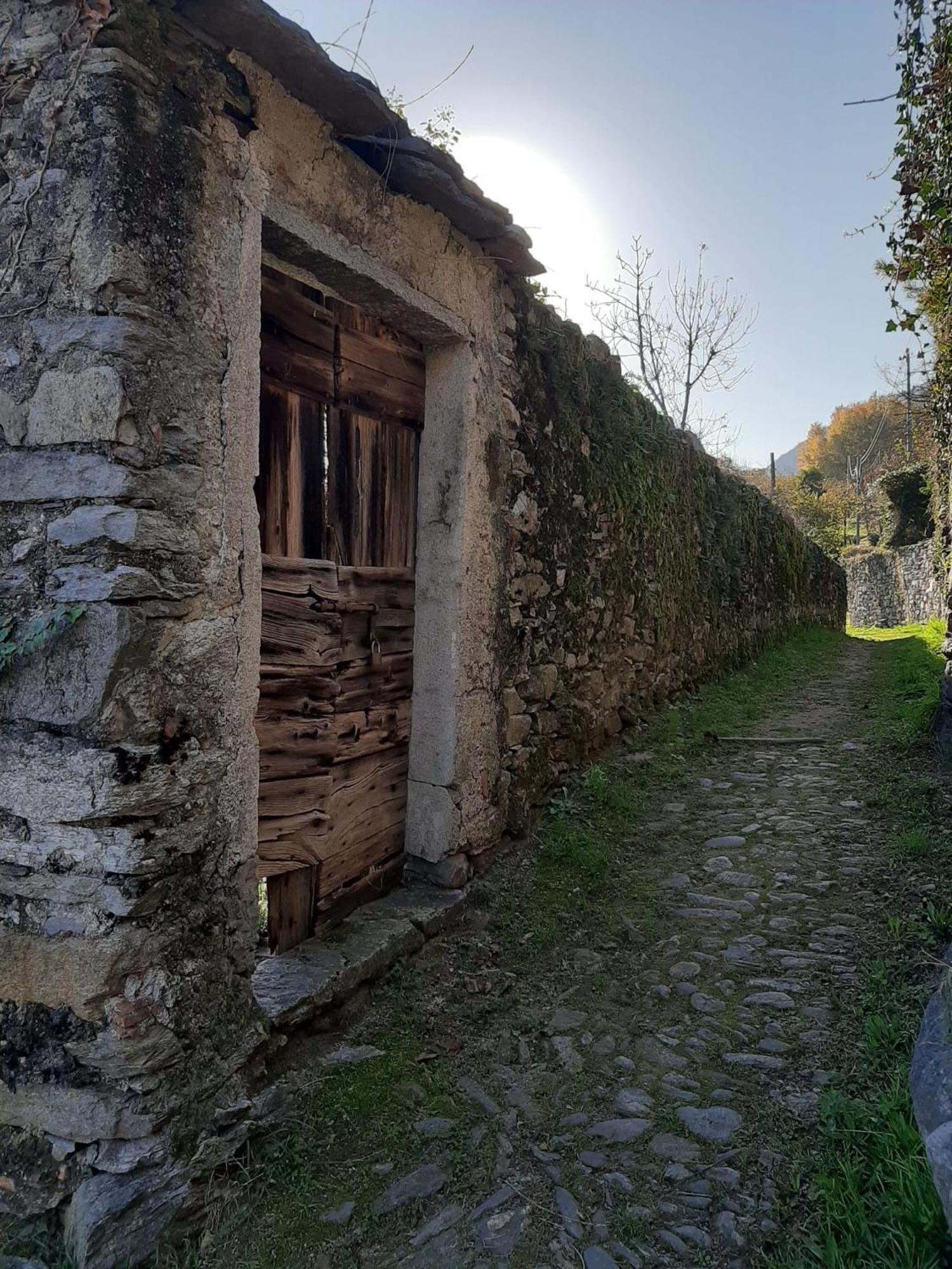 شقة Residenza Le Camelie Oggebio المظهر الخارجي الصورة